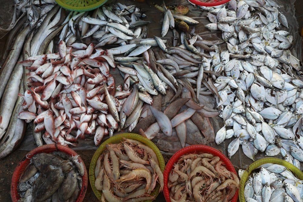 Chợ Rạch Dừa - Địa Điểm Mua Hải Sản Giá "Hời" Của Dân Bản Địa