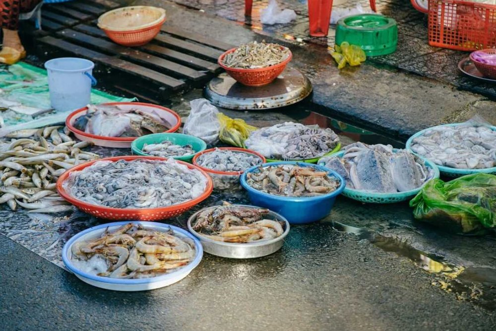 Chợ Phước Hải - "Thánh Địa" Hàu Sữa Và Hải Sản Làng Chài Giá Rẻ