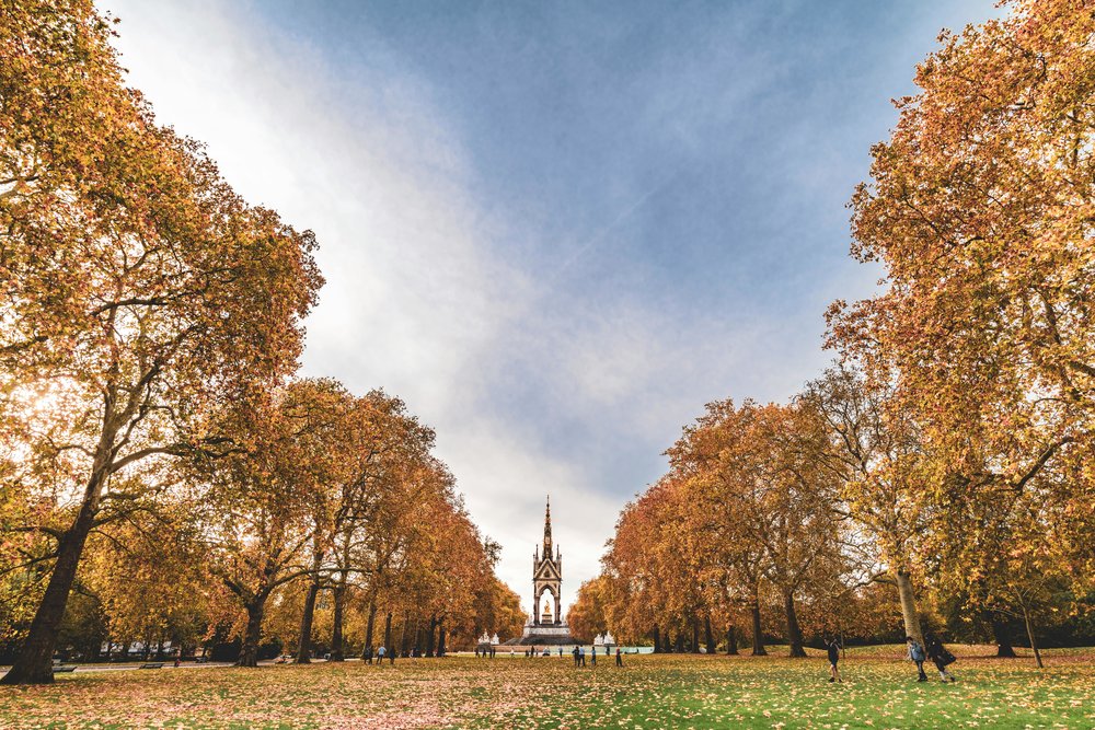 Rows of tall trees with orange leaves leading to a monument. Photo by Samuel Sweet on Pexels