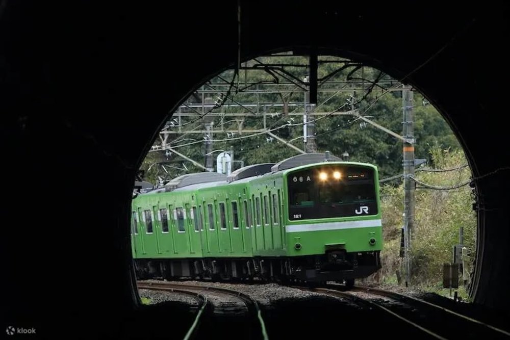 Vé Kansai Mini Pass