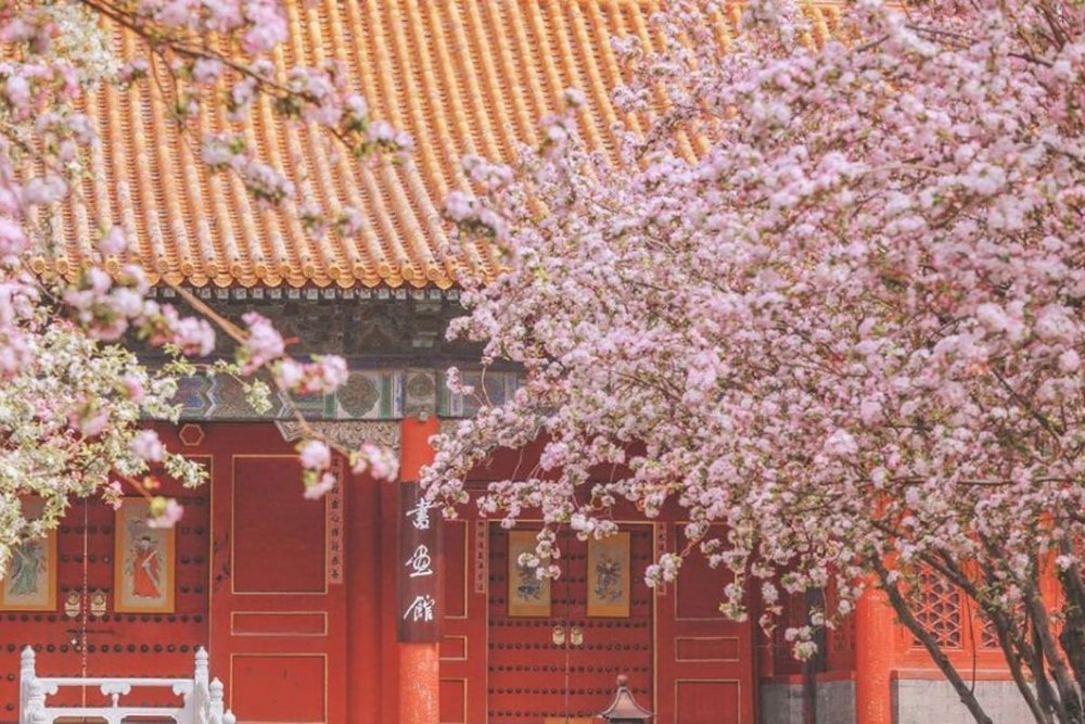 Sáng (08:00-11:30) - Ngắm Hoa Tại Thiên An Môn Và Tử Cấm Thành