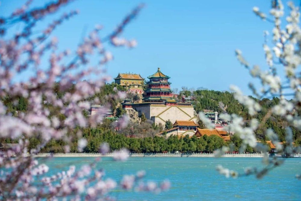 Sáng (09:00-12:30) - Đến Di Hòa Viên Nổi Tiếng Ngắm Hoa Anh Đào