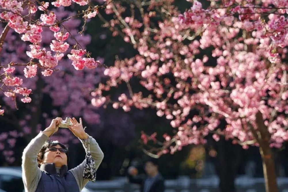  Công Viên Century - Ốc Đảo Xanh Yên Bình Giữa Khu Pudong