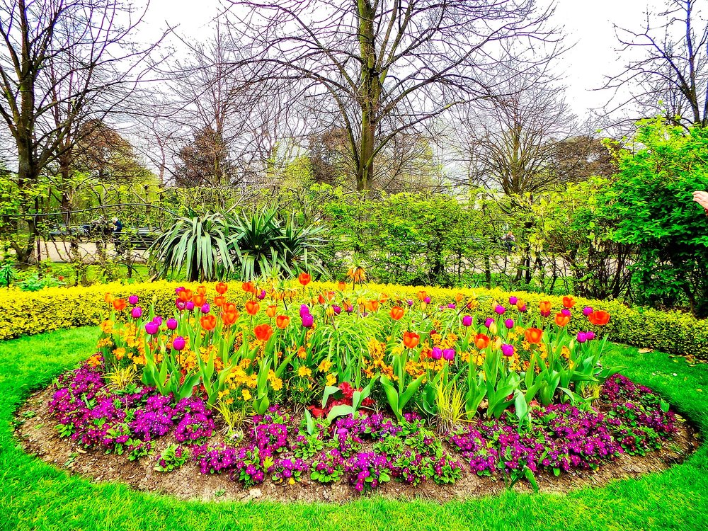 Bright spring flower beds in Regent’s Park, London