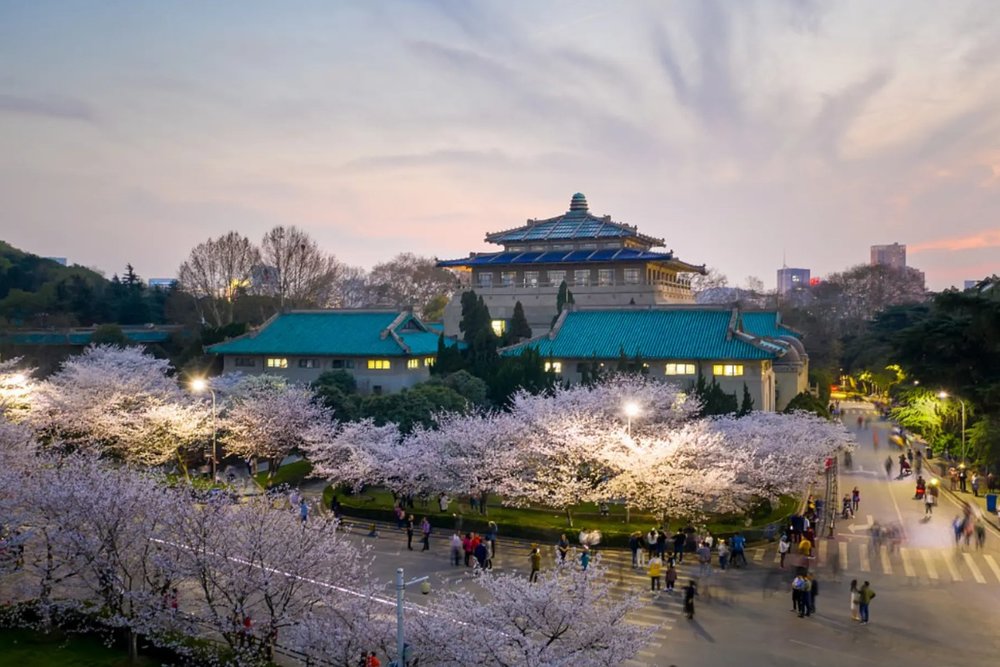 Anh Đào Trung Trung Bộ (Tháng 3)