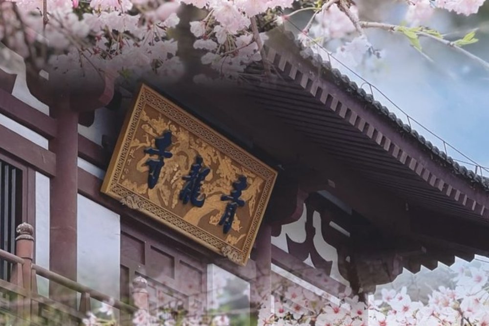 Anh Đào Cúc (Cuối tháng 4 - Đầu tháng 5)