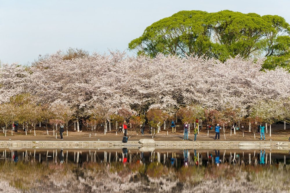 Đầu Đến Giữa Tháng Tư