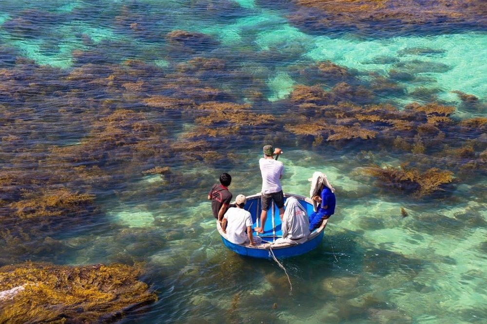 Lý Sơn, Quảng Ngãi - Biển Xanh, San Hô Và Hải Sản