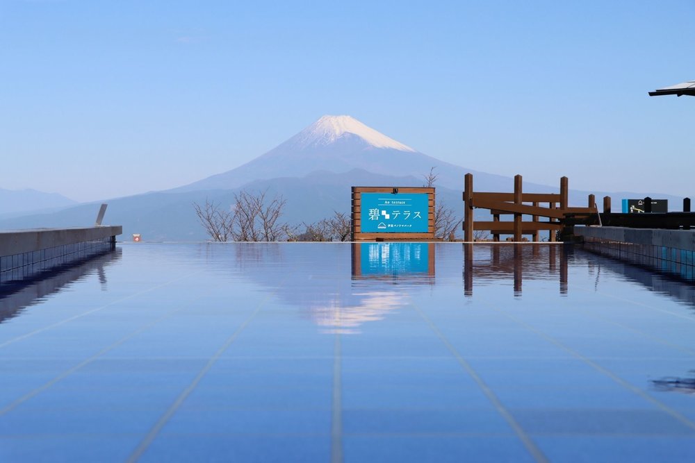 Izu & Shizuoka Kawazu Cherry Blossoms