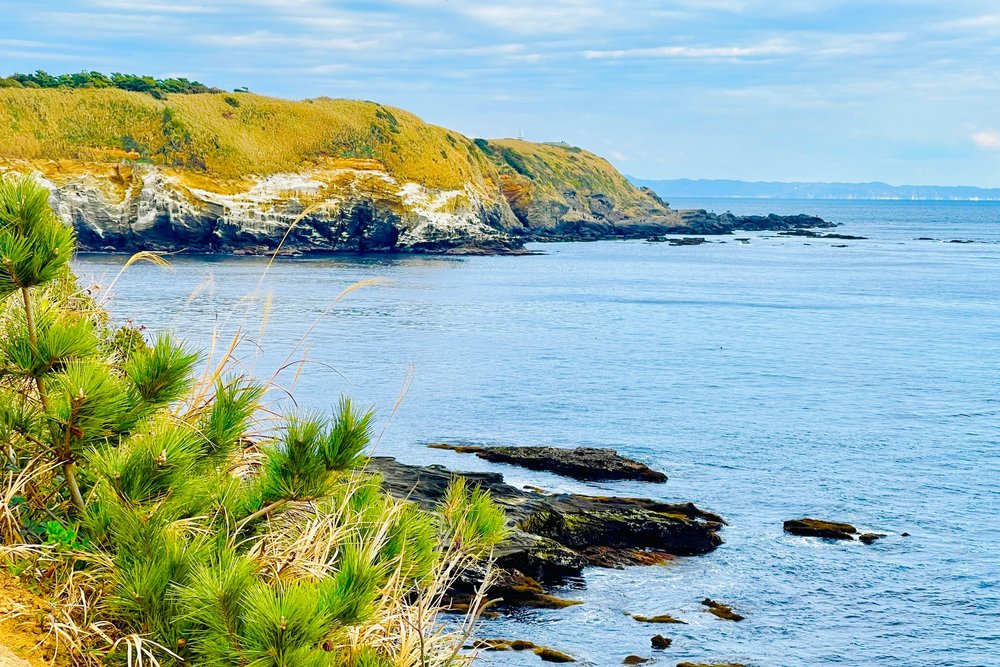 Miura Coast Kawazu