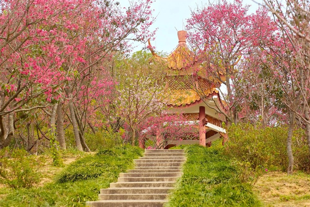 Fairy Lake Botanical Garden - Công Viên Thực Vật Học Lãng Mạn Giữa Núi Hồ