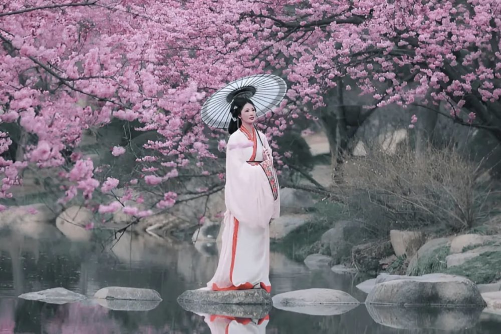 Tips Sống Ảo Và Tham Quan Thâm Quyến Vào Mùa Hoa Anh Đào