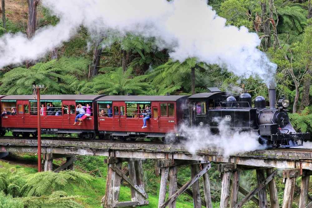 Puffing Billy steam train traveling through lush forest near Melbourne