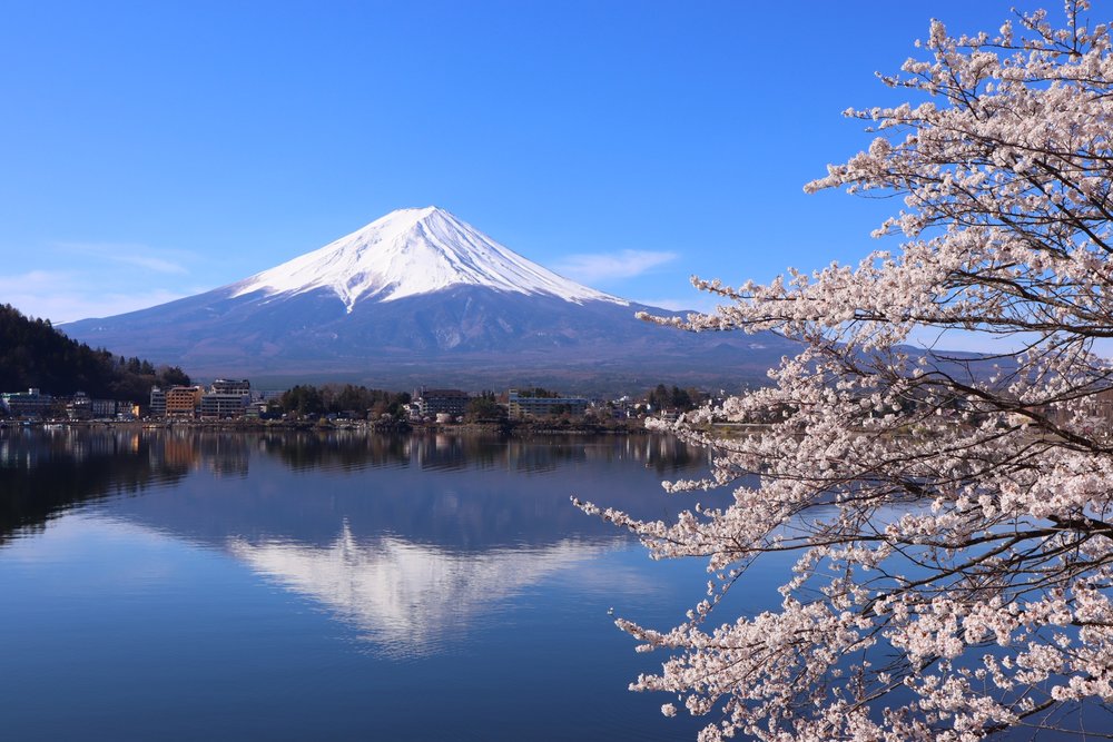 Mt. Fuji & Lake Kawaguchi Tour from Tokyo