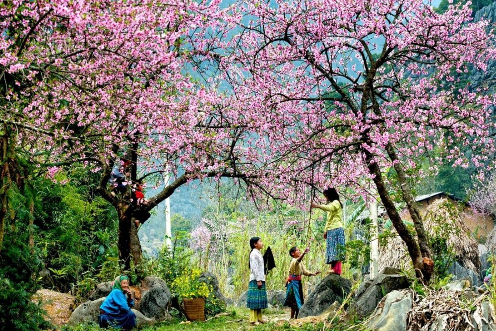 Tết Ở Vùng Cao Tây Bắc Có Gì Khác Với Tết Miền Xuôi?