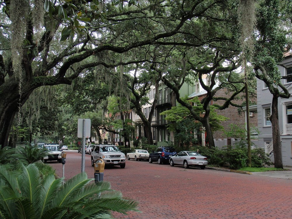 Historic Savannah street with oak trees covered in Spanish moss and parked cars