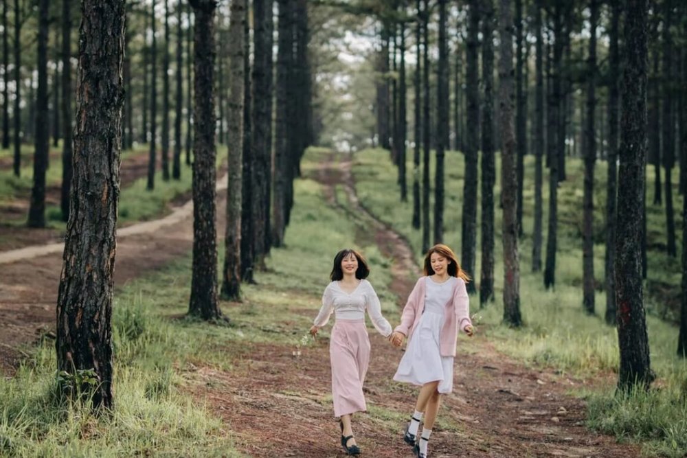 Đà Lạt - Rừng Thông & Không Gian Cao Nguyên Mát Lành