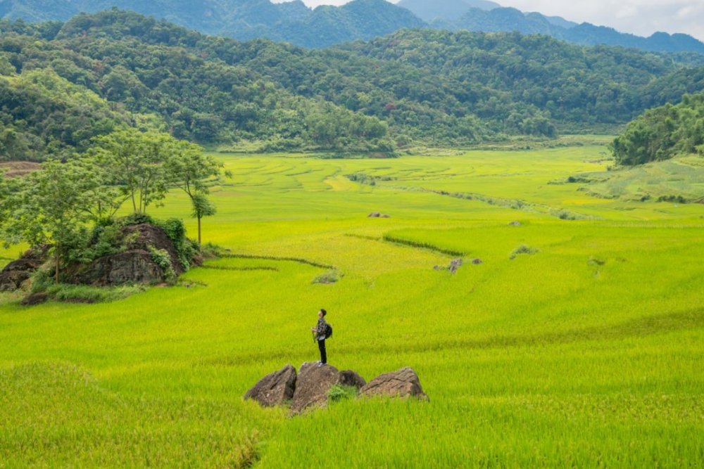 Pù Luông (Thanh Hóa) - Ruộng Bậc Thang & Bản Làng Xanh Mát