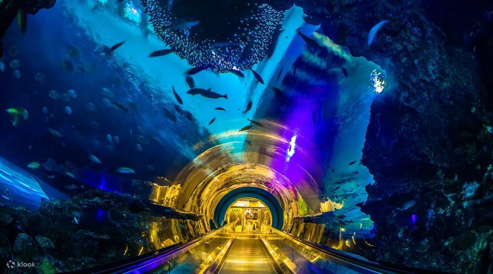  Khu Waters of Taiwan (Biển Đài Loan Thu Nhỏ)