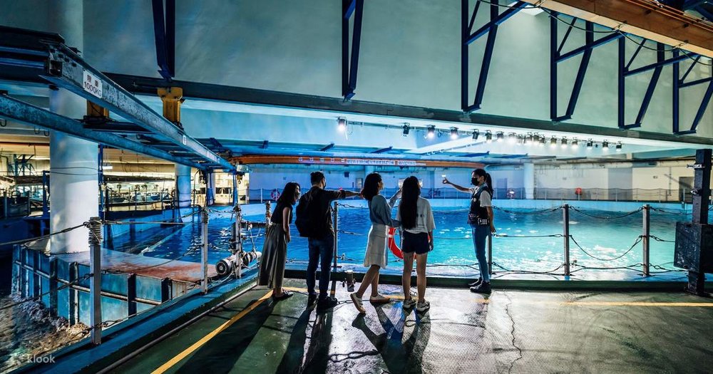 Trải Nghiệm Thực Tế Với Sinh Vật Biển