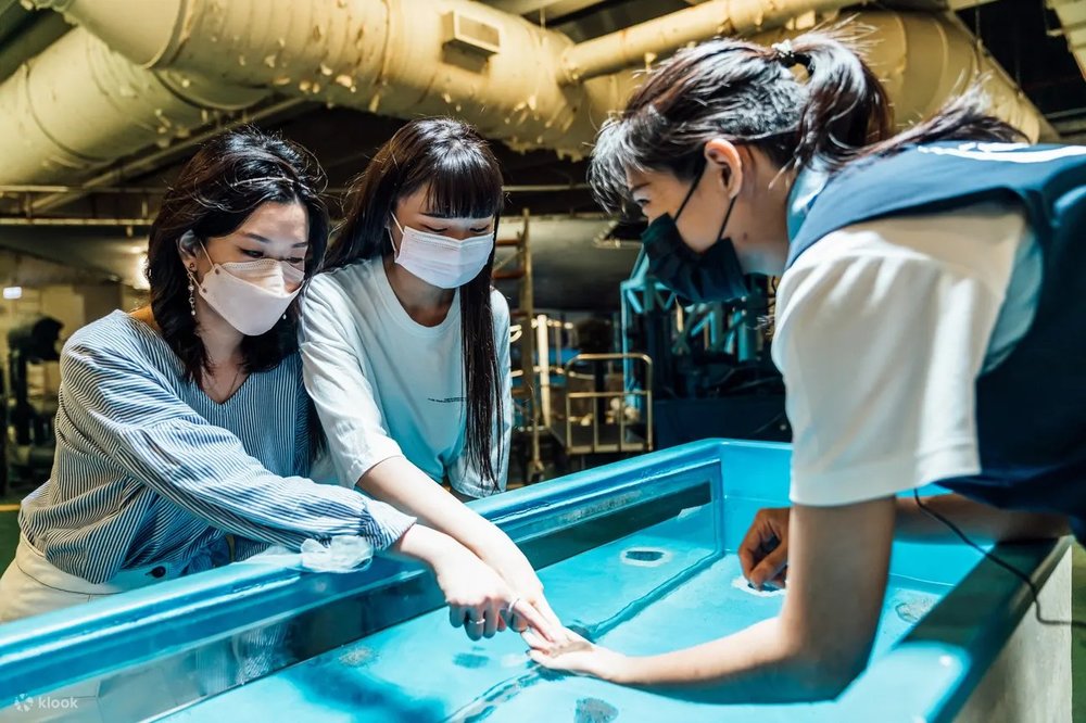 Khu Touch Pool Và Tương Tác Sáng Tạo