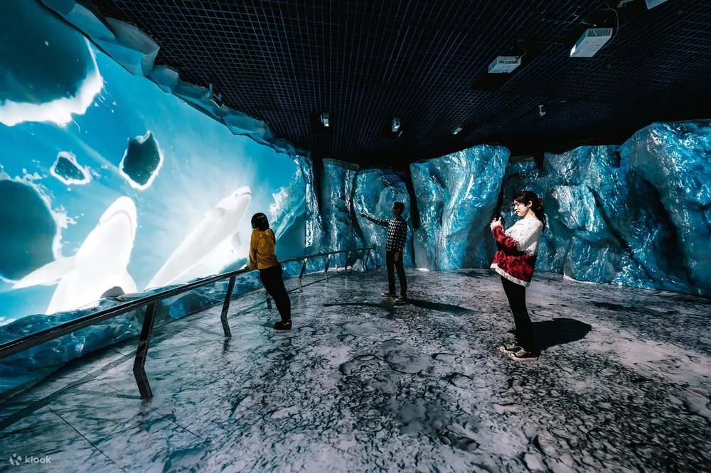  Chương Trình Giáo Dục Đặc Biệt