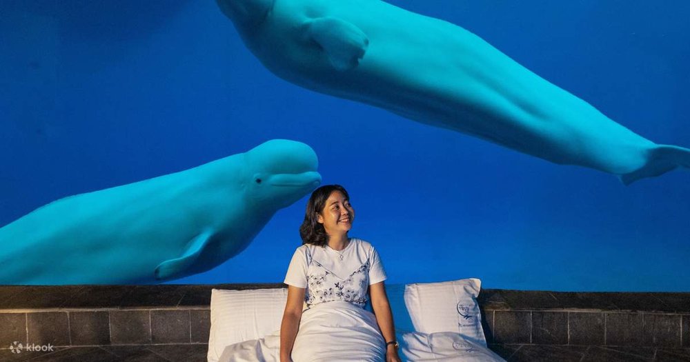 Không Gian Biển Sâu Huyền Bí trong Ancient Seas Pavilion