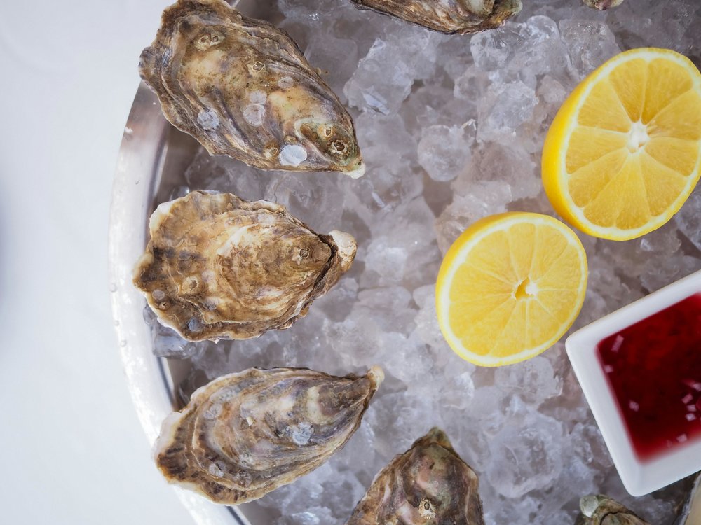 Fresh Sydney rock oysters | Photo Credits: Nadin Sh on Pexels