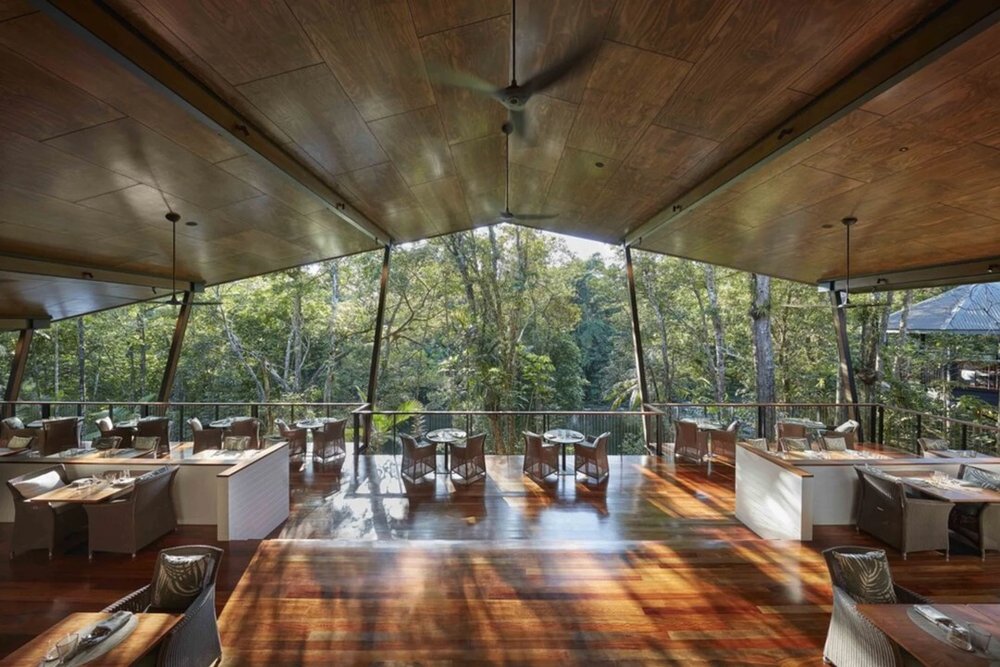 A dining room with a jungle canopy view
