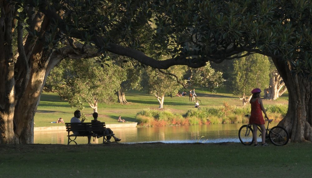 Centennial Parklands picnic area in autumn weather