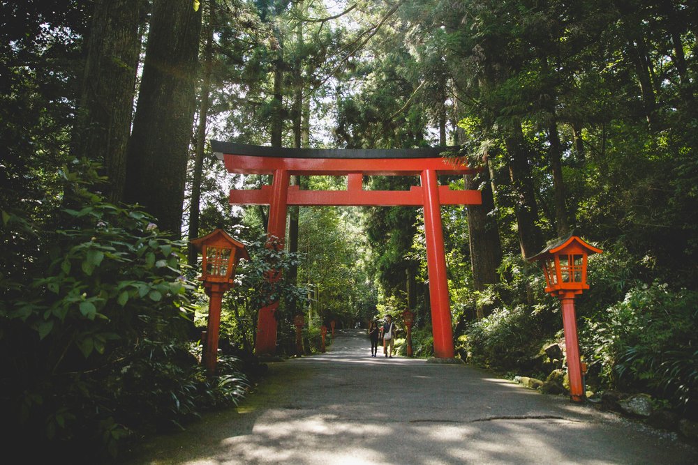 Red torii gate in a lush forest path in Hakone, Japan