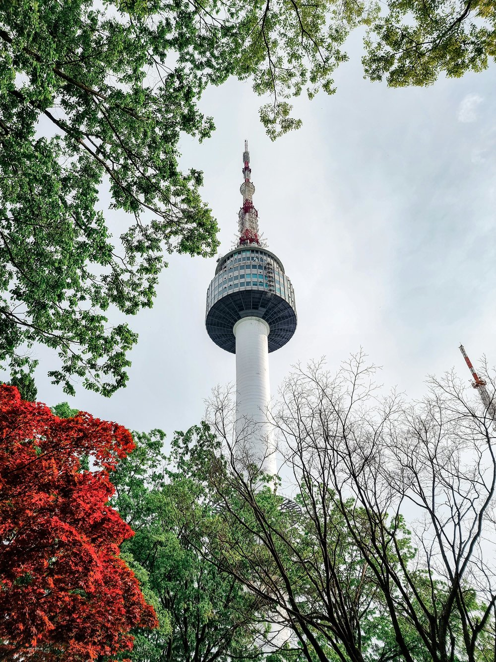  N Seoul Tower overlooking Seoul city skyline | Photo Credit: Naufal Shidqi on Pexels
