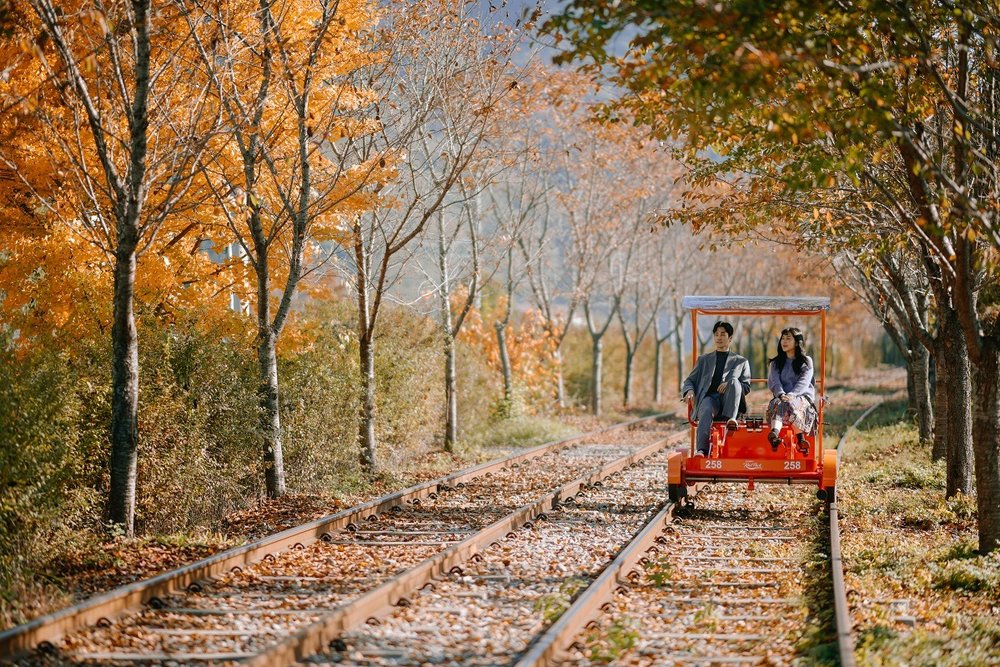  Rail bike ride along tree-lined tracks in Gangchon during fall 