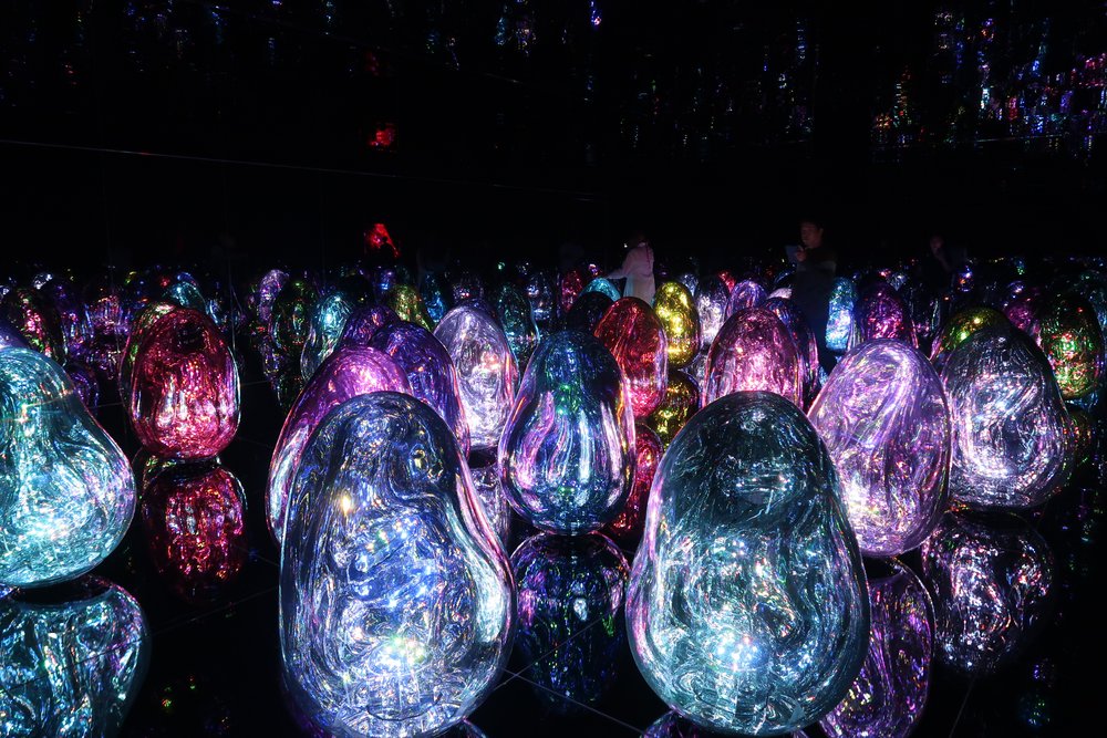 Resonating Microcosms exhibit at Teamlab Biovortex Kyoto