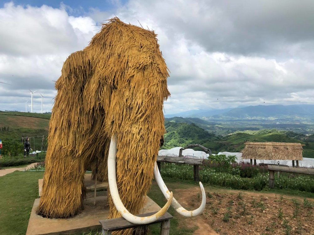 King Kong Khao Kho