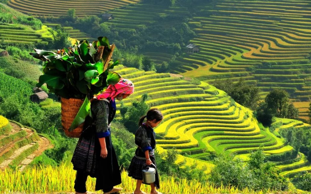 Bản Lao Chải – Tả Van
