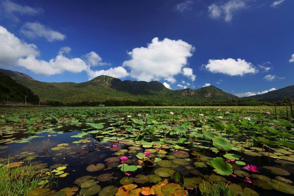 Hồ An Hải