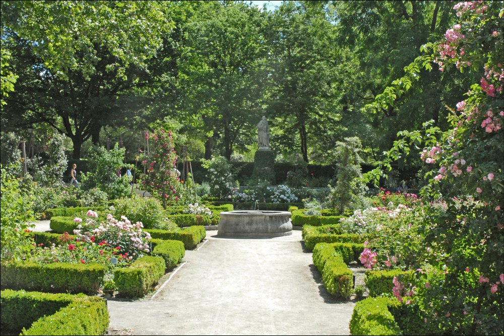 Beautiful flowers and manicured gardens at the Royal Botanic Gardens in Madrid | Photo Credit: Wikimedia Commons