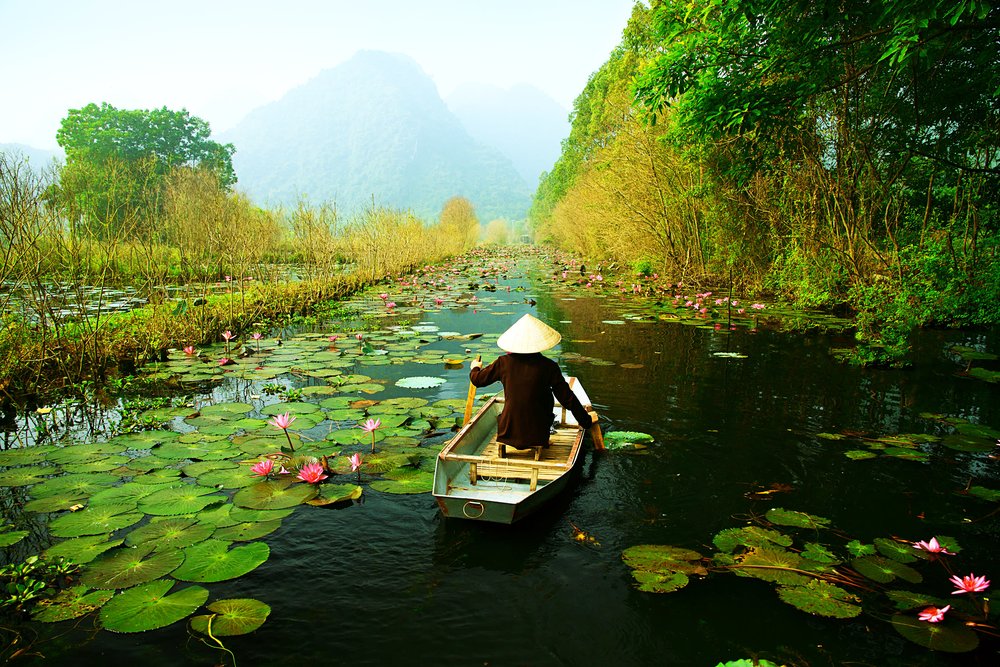 Traditional boat rowing along lotus-filled river in Ninh Binh Vietnam