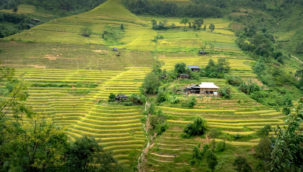 Layered rice terraces and village houses in Sapa northern Vietnam