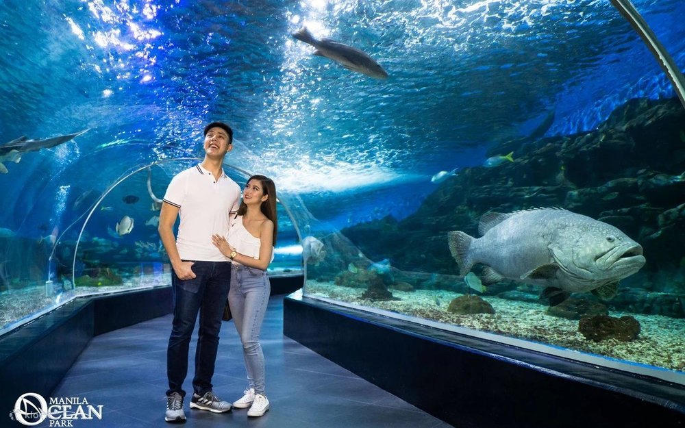 Khám Phá “Biển Xanh Giữa Lòng Thủ Đô” – Giới Thiệu Về Manila Ocean Park