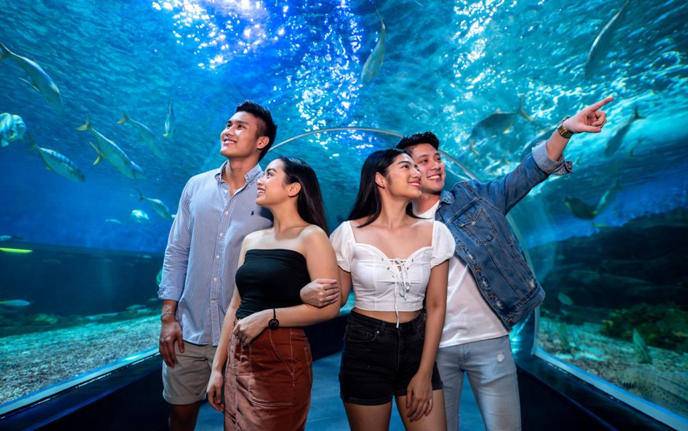  Oceanarium – Đường Hầm Đại Dương Dài Nhất Philippines