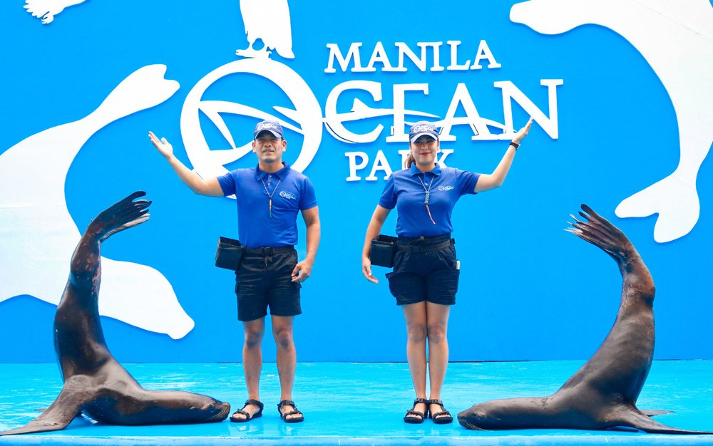Sea Lion Show – Màn Biểu Diễn Hải Cẩu Được Yêu Thích Nhất