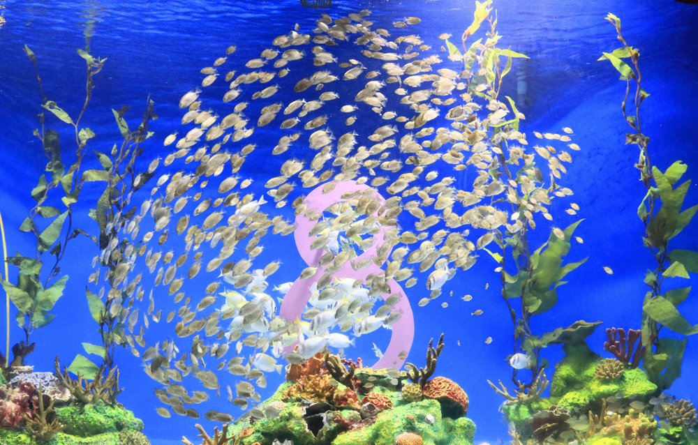 Giá Vé Manila Ocean Park Mới Nhất