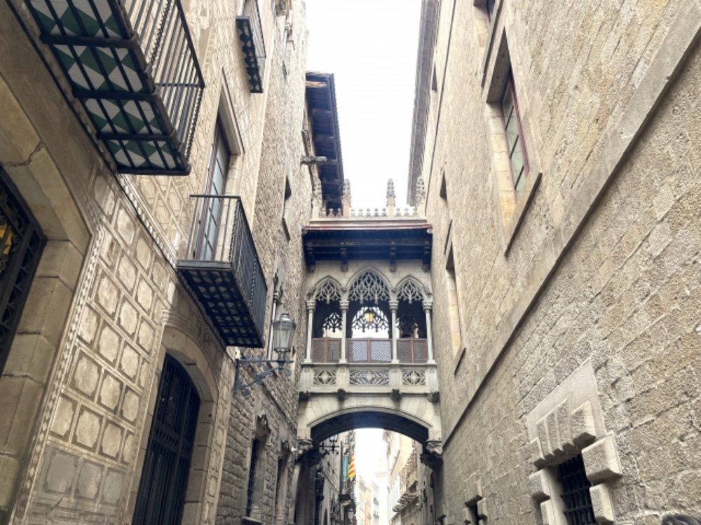 25798 カタルーニャ音楽堂 ゴシック地区