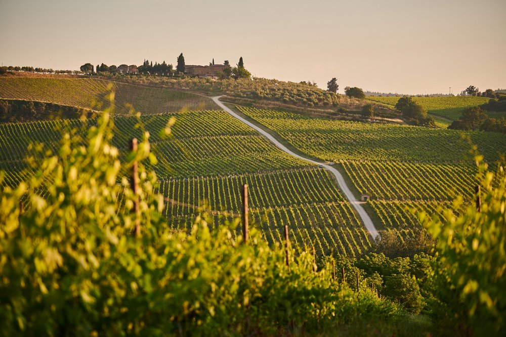 Rolling vineyards and countryside landscape in Tuscany at sunset | Photo credit: Johny Goerend on Unplash