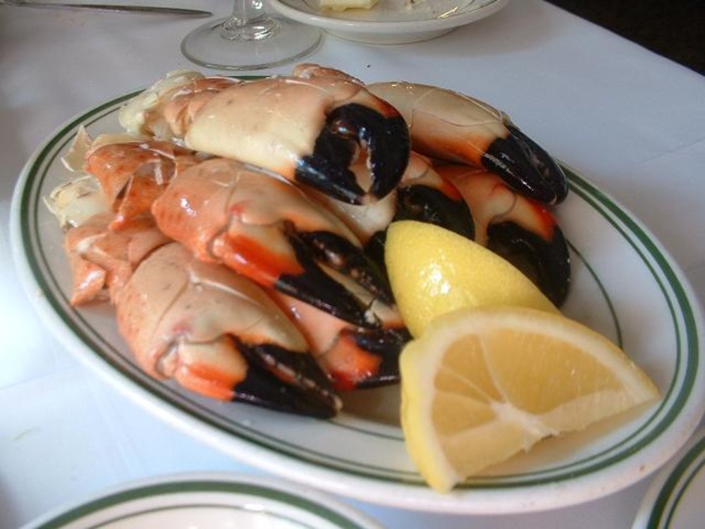 Florida stone crab claws with lemon wedges on a white plate