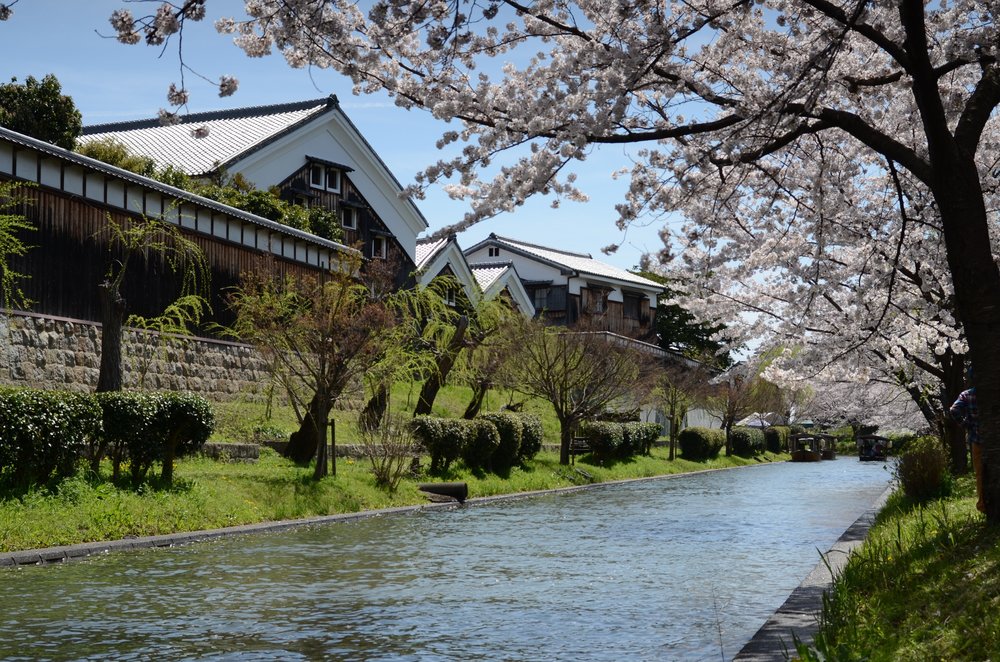 A scenic view of the Fushimi Sake Village in Kyoto, showcasing traditional sake breweries surrounded by nature