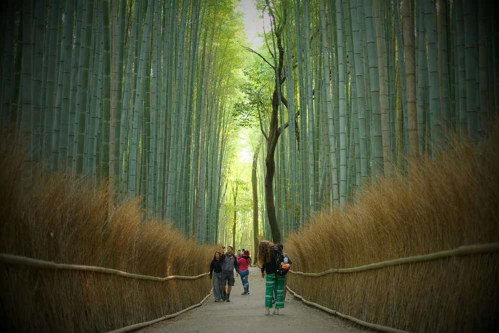 People walking through the Arashiyama Bamboo Grove