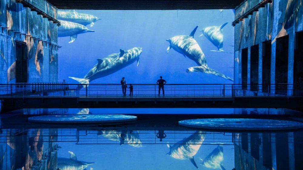 Visitors watching giant underwater projection at Bordeaux art space